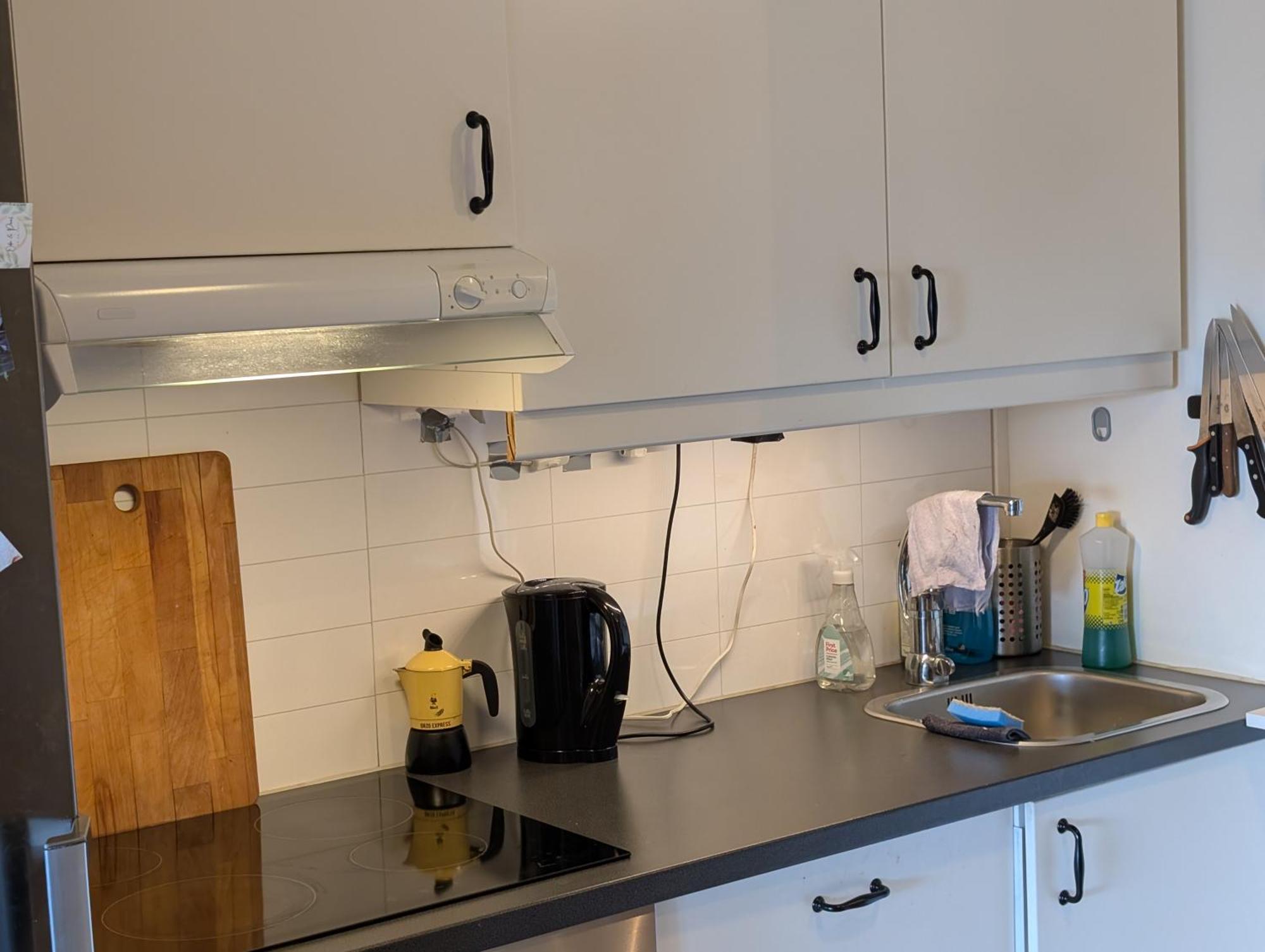 Spacious And Cozy Study Apartment With Balcony Oslo Eksteriør billede