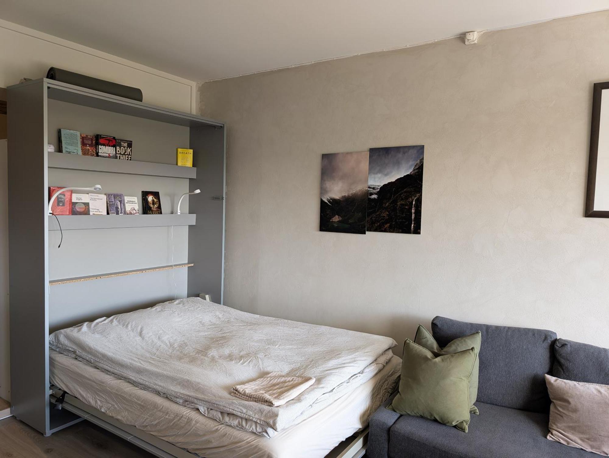 Spacious And Cozy Study Apartment With Balcony Oslo Eksteriør billede